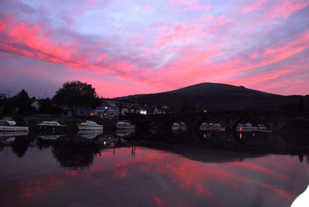 Waterside Guesthouse Graiguenamanagh Екстериор снимка